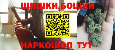 индика Рузаевка