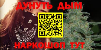 индика Рузаевка