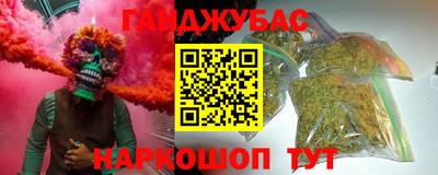 индика Рузаевка