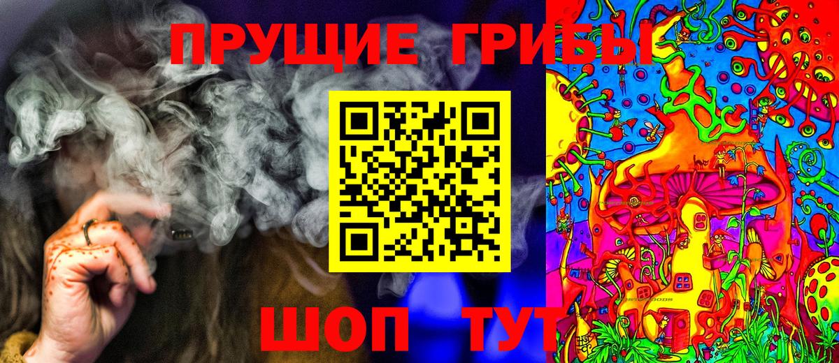 Псилоцибиновые грибы Psilocybine cubensis  Бирск 