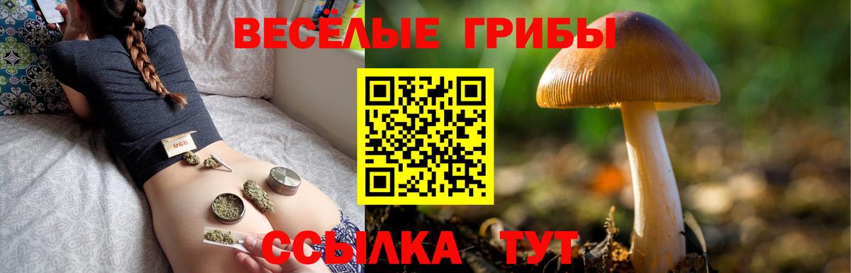 Галлюциногенные грибы Magic Shrooms Бирск
