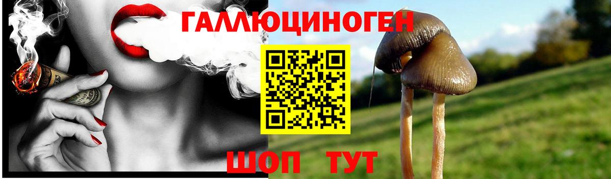 Бирск  Псилоцибиновые грибы Magic Shrooms  Галлюциногенные грибы Psilocybine cubensis  Вход с VPN 